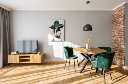 Apartament Nova Płaszów