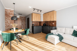 Apartament Nova Płaszów